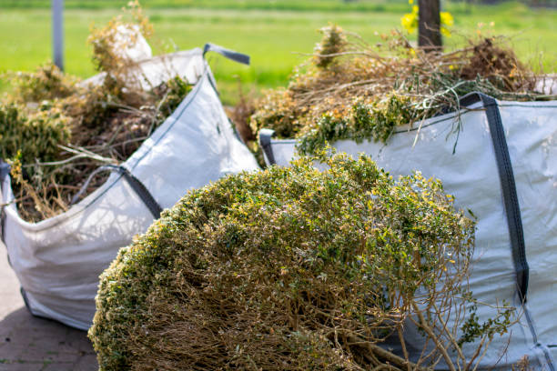 Best Furniture Removal Near Me  in Braddock Heights, MD